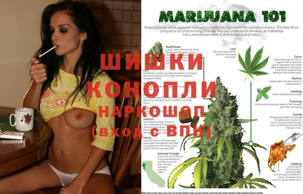 спиды Ростов