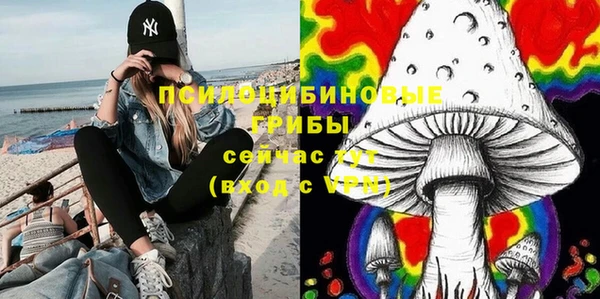 мет Рославль