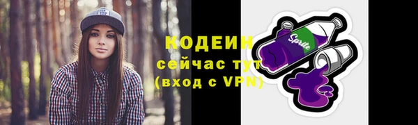 тгк Абаза