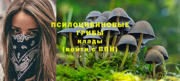 тгк Абаза