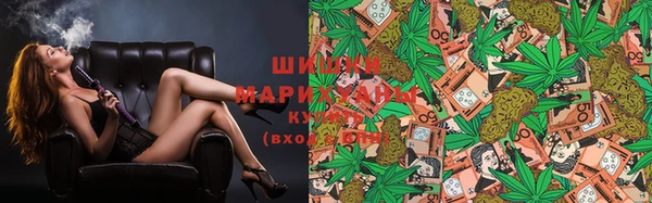 спиды Ростов