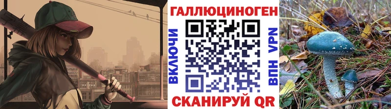 Псилоцибиновые грибы Psilocybe  ОМГ ОМГ как зайти  Суоярви 